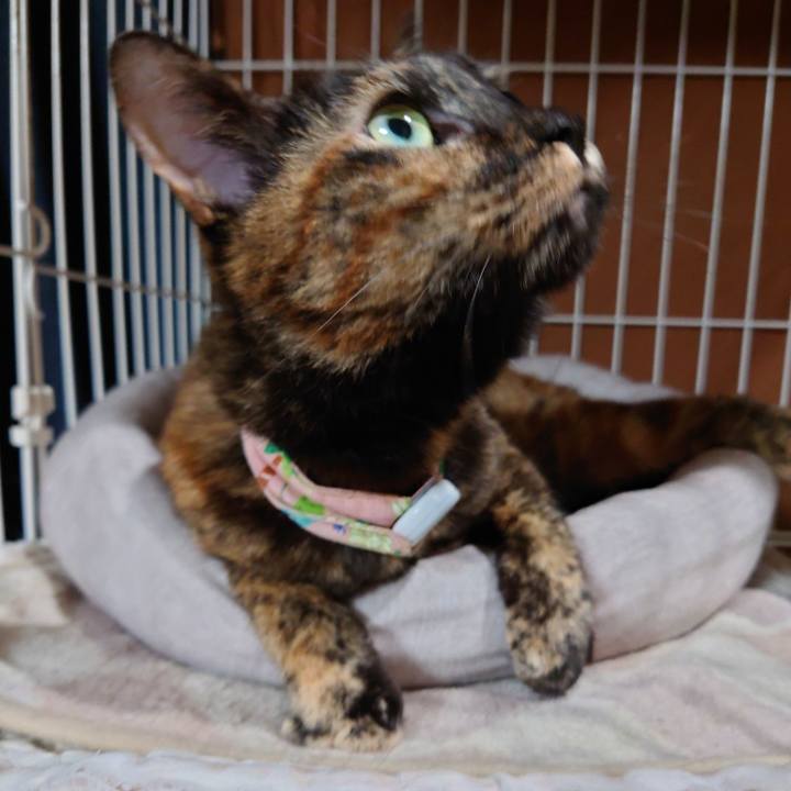 0e36fbc0 2cb3 4362 81b1 af40dbb86e61 1639748766638