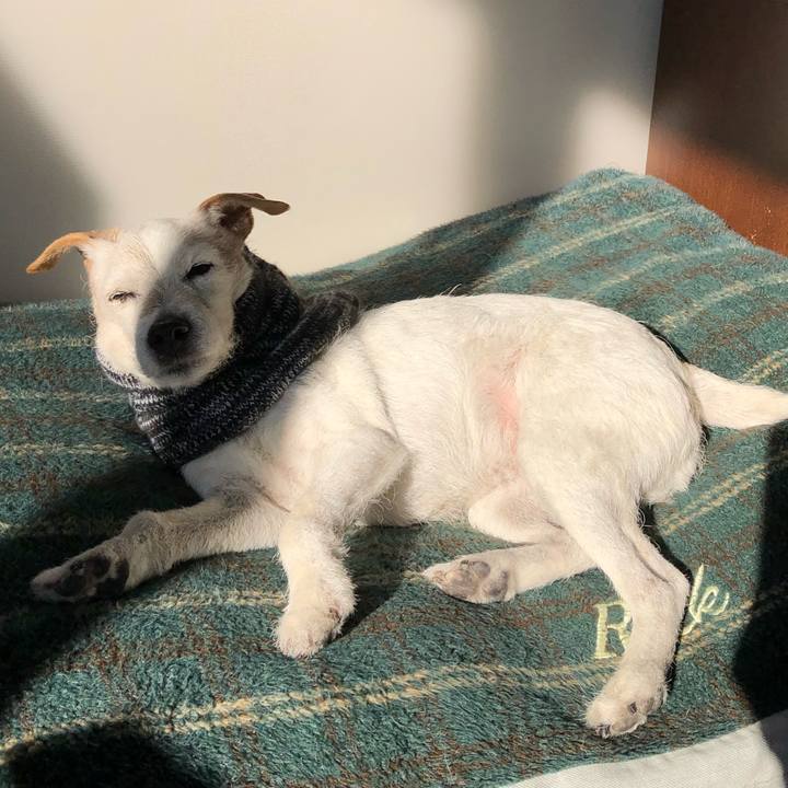 0e36ffda bf4e 4adb 99d8 b0e13804235b 1644541785624