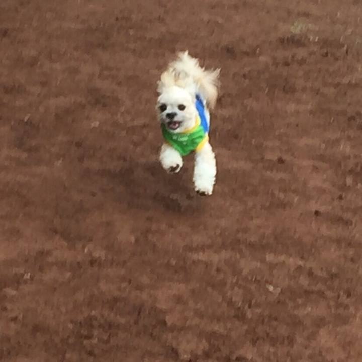 0e372537 d44f 48e7 a2e8 f80bca64a591 1535457885744