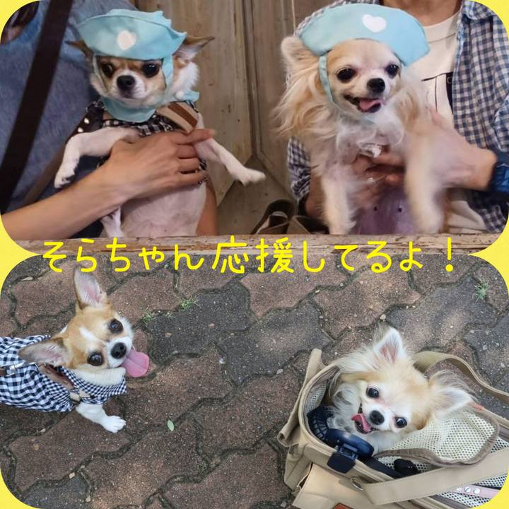 0e374a81 0b87 4b17 bc04 9a51abe6ade2 1701603836148