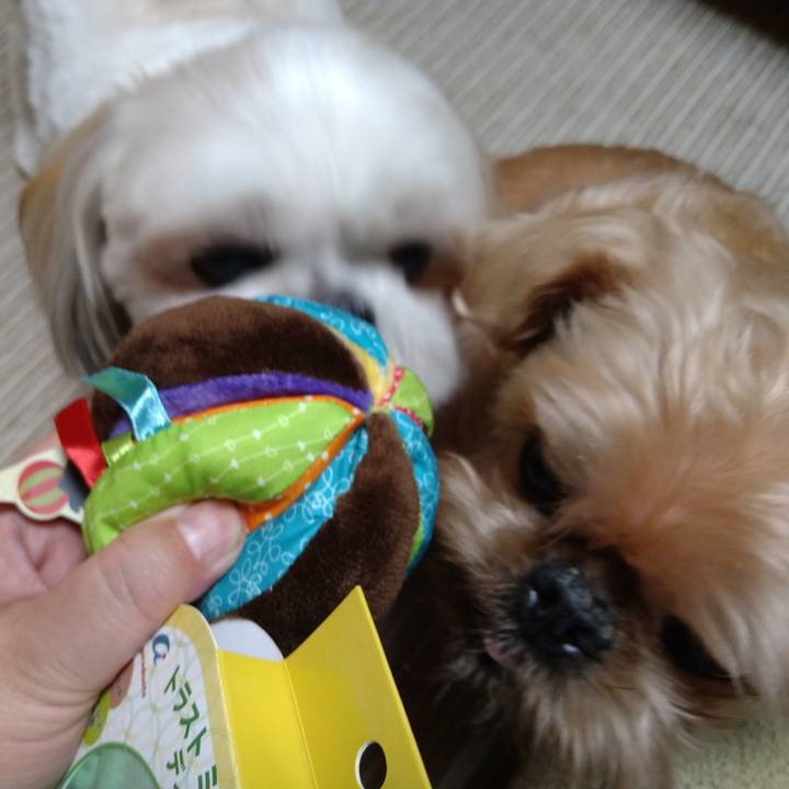 0e37681f 2ebd 46e2 894d 562c77bd47d9 1634775109515