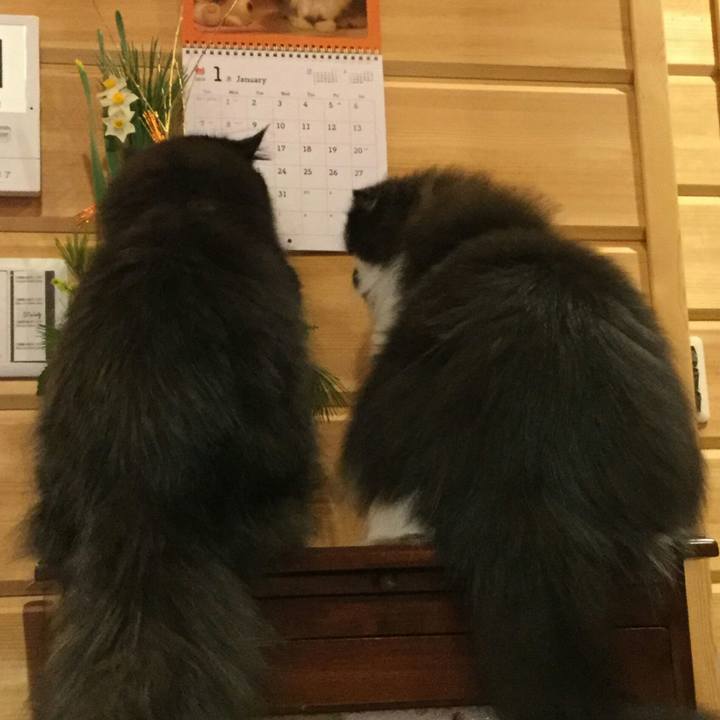 0e378852 f5ae 4a04 8497 ce3370d4767a 1515072589397