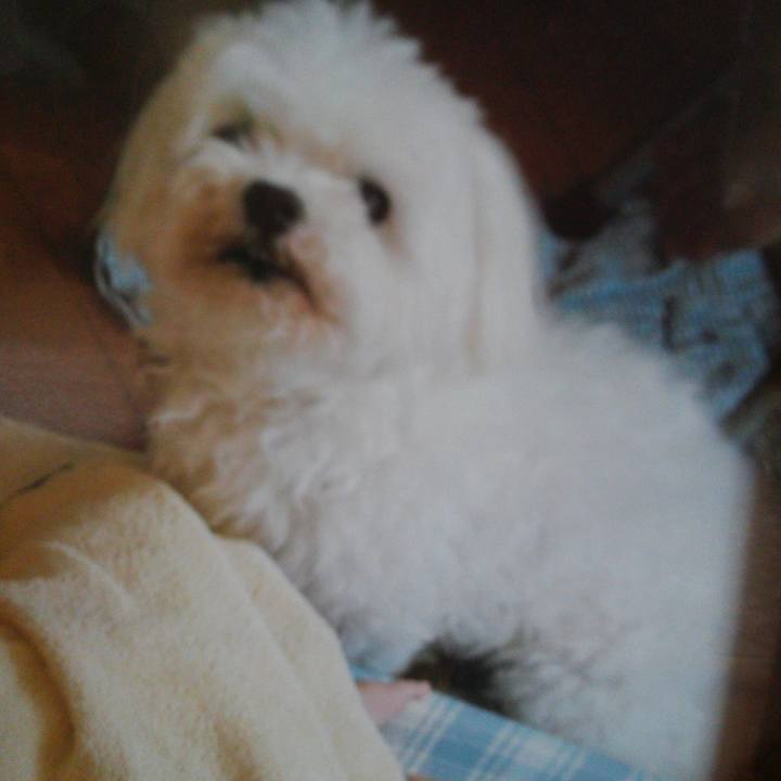 0e378ec2 d8be 48f8 bb98 aa4904f63d74 1507698641860