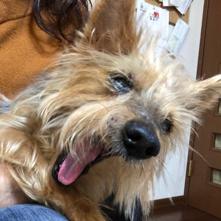 0e379e57 585f 4303 98ab 19a1eedbd3cc 1510887806132