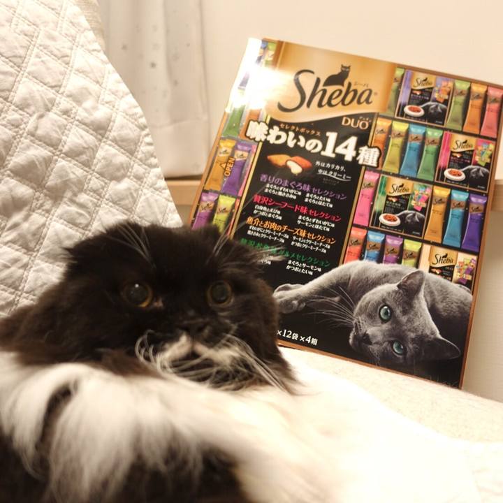 0e37c37e aef8 440f be56 1cd9fdbaf789 1543594052681