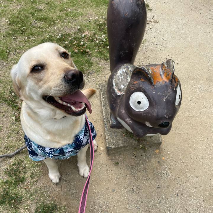 0e37e4a7 b778 4626 bf3d b3067c783e84 1653718279908