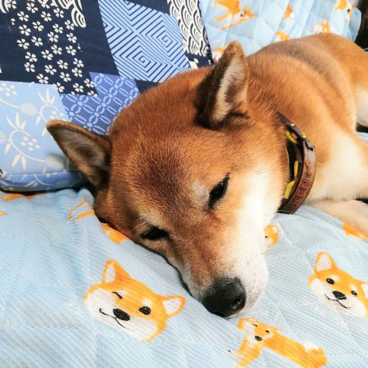 0e37e847 7b34 48f3 a632 c28e847cef7e 1601874697695