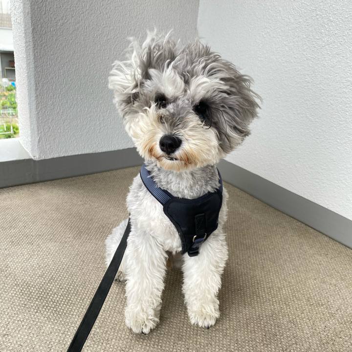 0e382dec aaa7 4ea3 95e7 743dc6a25f61 1619917984488