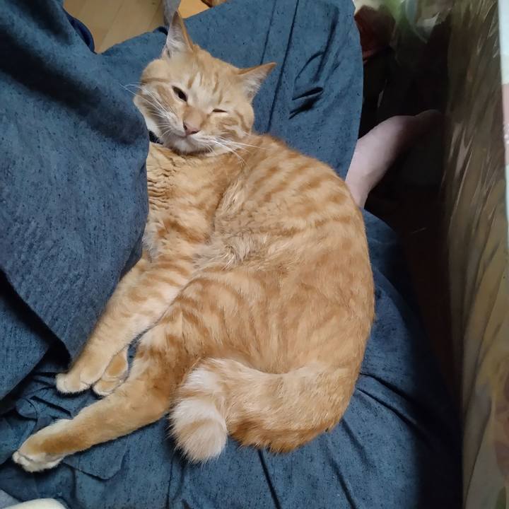 0e383ebb bddd 4385 a303 37afc859f1d9 1664368059862