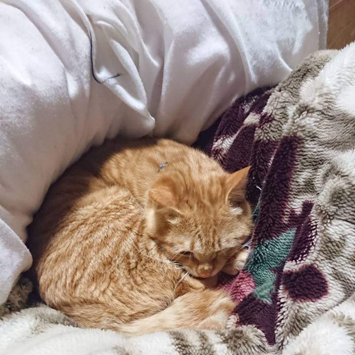 0e3888e6 f59b 45ae b7a7 a5aa51f803a1 1641469656925