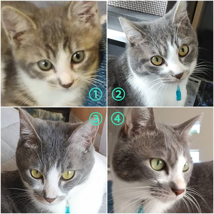 0e38cbbf a9b7 4e02 80b6 76034820ca65 1658116586437