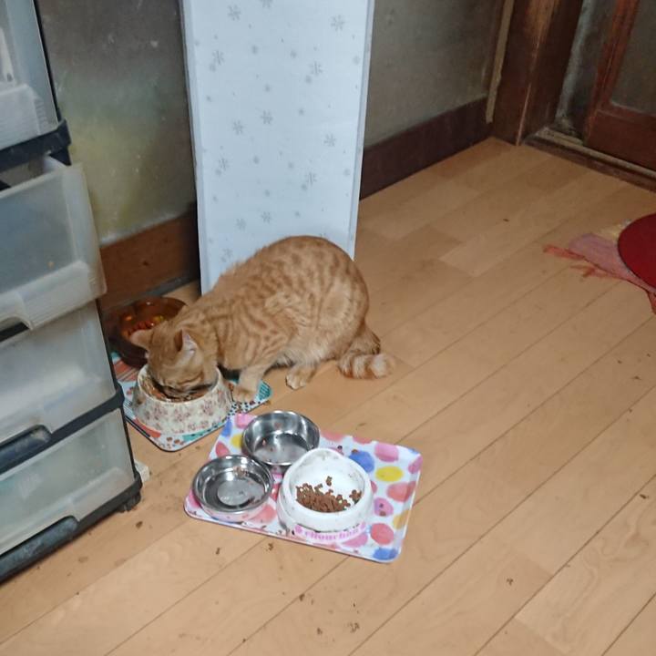 0e38e1c0 970b 4edc b636 5612d393cb9c 1650804781622