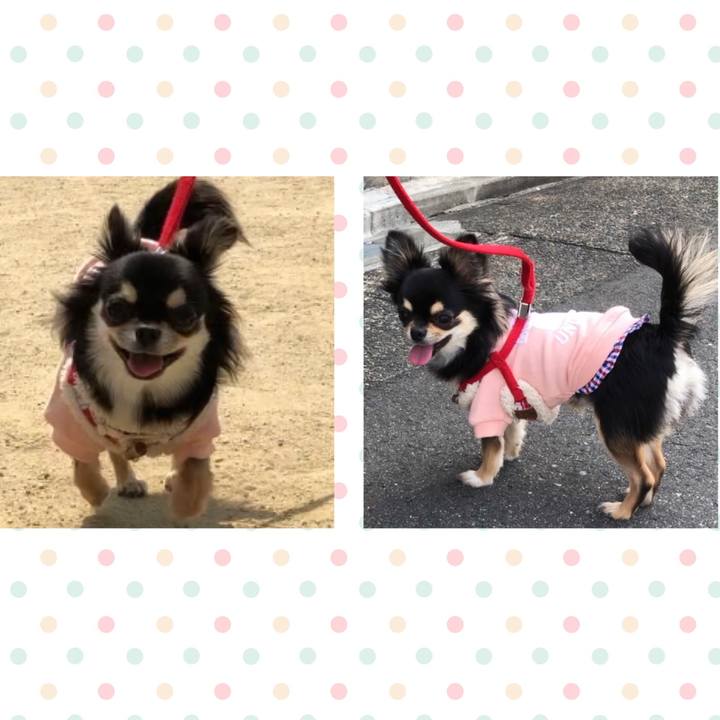 0e38fe23 1b7f 48ac a6d9 49f9ac612c39 1554613054006