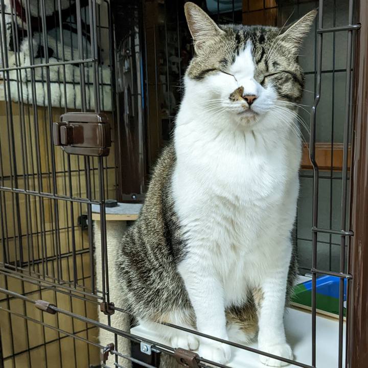 0e3940dc cb01 409e 8112 9cd31ec830ee 1668427703115