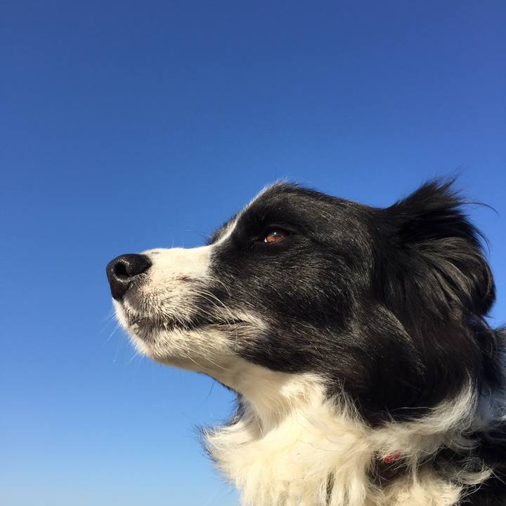 0e3941aa c7f7 46d9 bff5 9012dd3e5d41 1573776784823