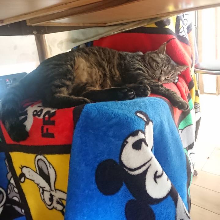 0e3953bc 54a1 475f 9394 1dc272ef7bae 1651322786821