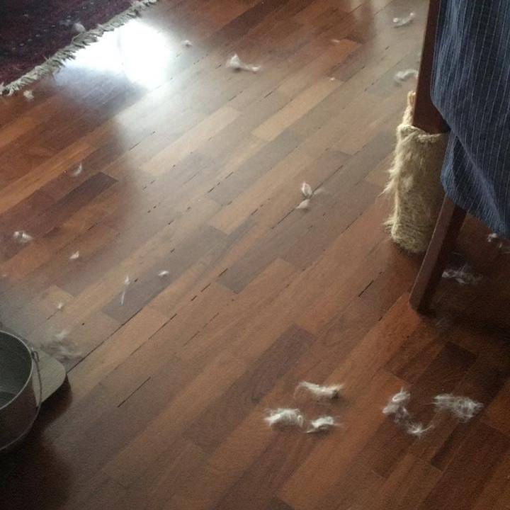 0e3967d9 17eb 4844 bc64 a7cd11b550e1 1551018293447