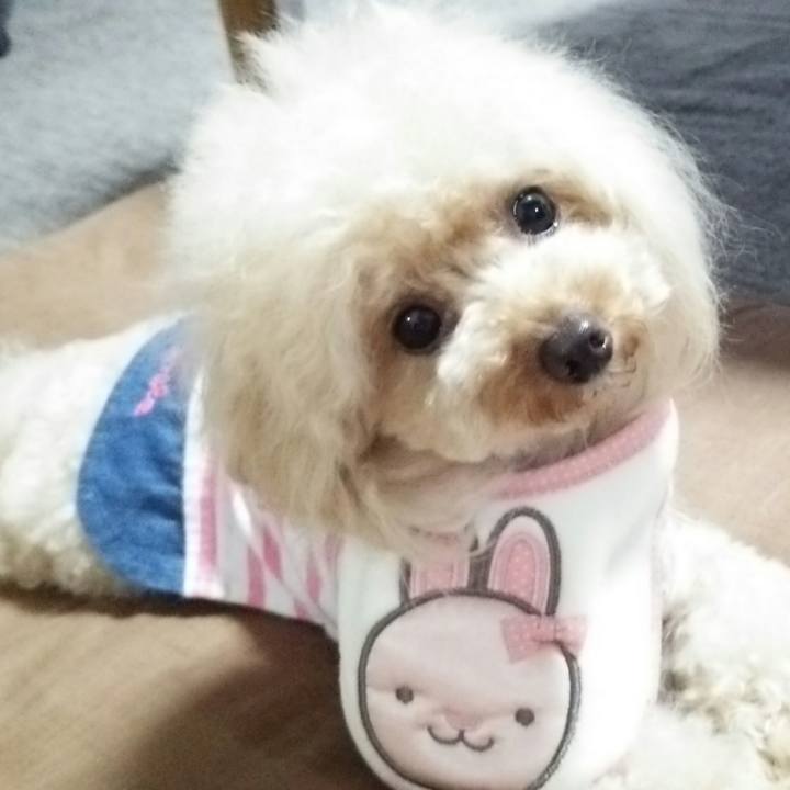 0e39814b 8b84 4759 bbd0 ca0c6b8fc4e4 1536796004407