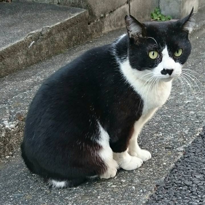 0e398b59 f7f6 4d34 9600 9f9f08d15eaa 1510897528685