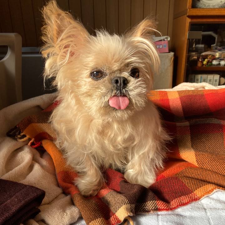 0e398f92 e86c 4e04 a52f 44917c62b122 1644539940126