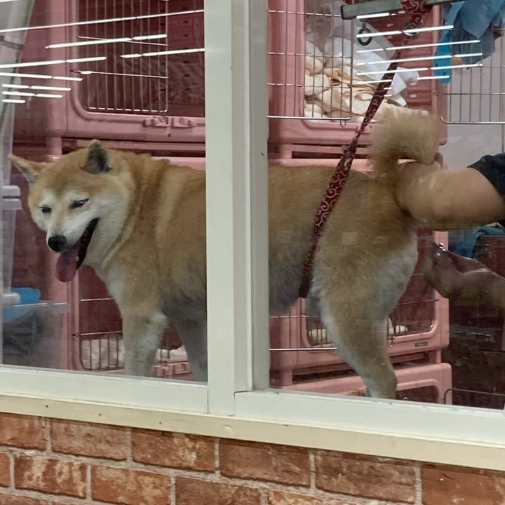 0e39afe8 61dd 4f81 8d06 33f890f61ca9 1636721609096