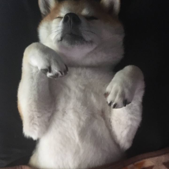 0e39c354 be54 4892 aec9 a6bdd0f5abc1 1612601978731