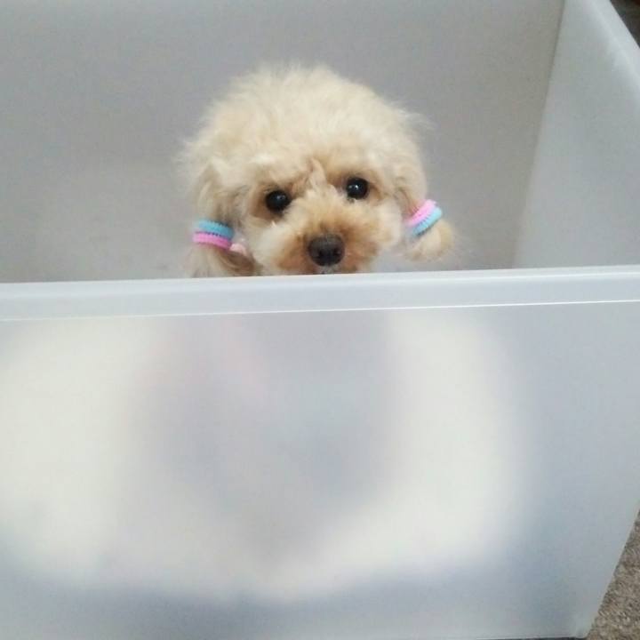 0e39e78a d2de 4acb aa0f 5c72f8b4d0b2 1535531694490