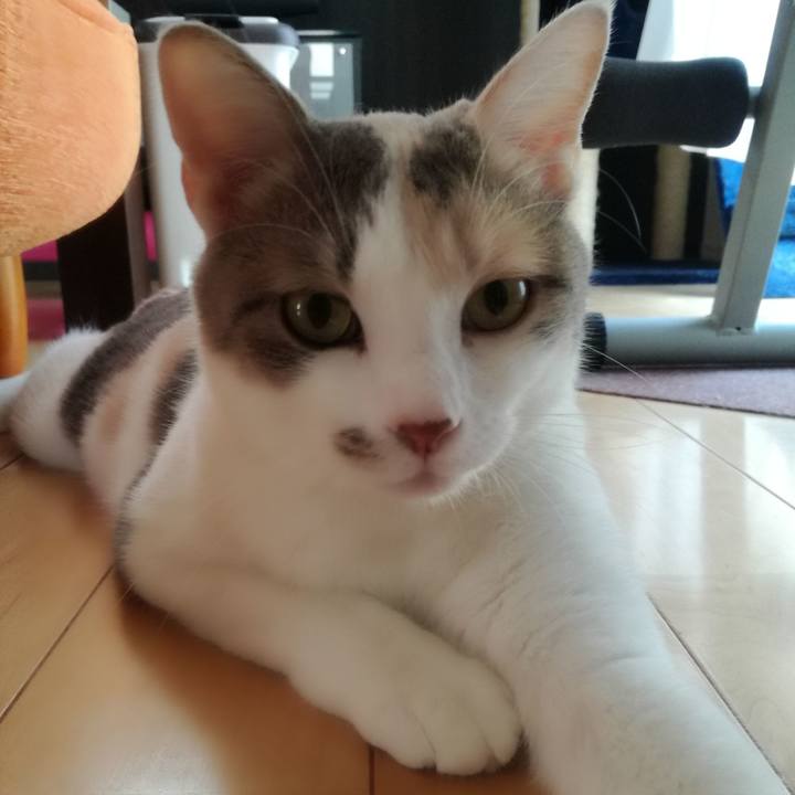 0e39ebab bed4 42d2 8722 b2e709de7b60 1532413793475