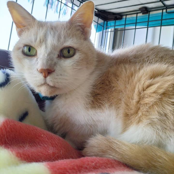 0e39fca2 aa7f 46fe b9c1 45ce69840ac0 1683585454461