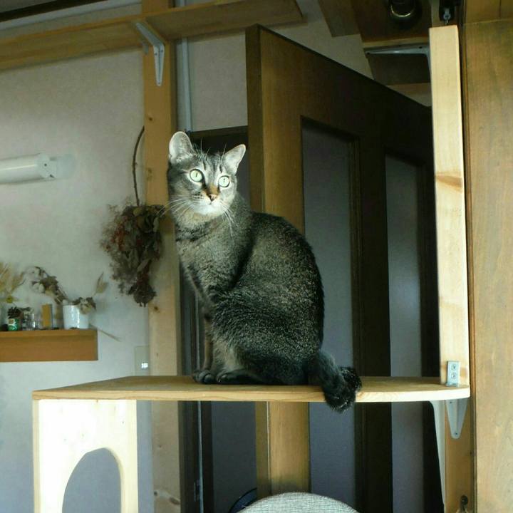 0e3a03ea 6003 47a9 871e 8f7c66094899 1569371423614