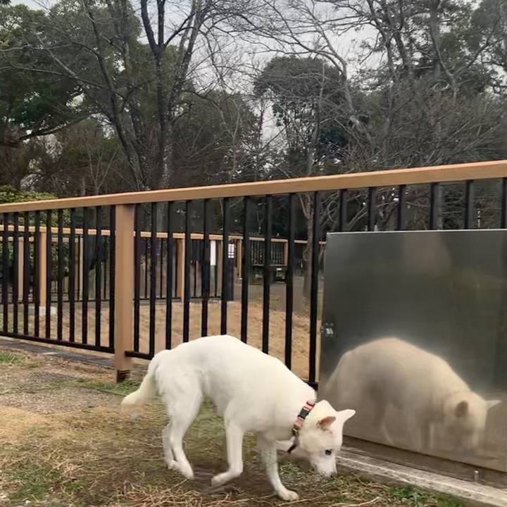 0e3a0cca 87b1 457b b12a c4aed9f6c35a 1578185635757