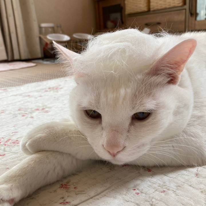 0e3a2f31 666d 4159 8ea0 f23dc4b0704f 1652242910892