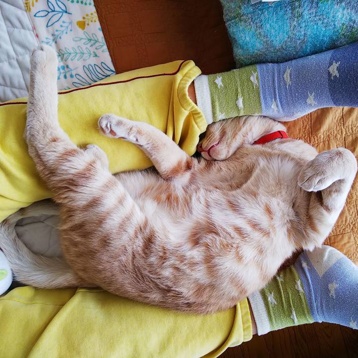 0e3a7156 8d79 40db 99b2 d3256f1ad6b4 1557018399475