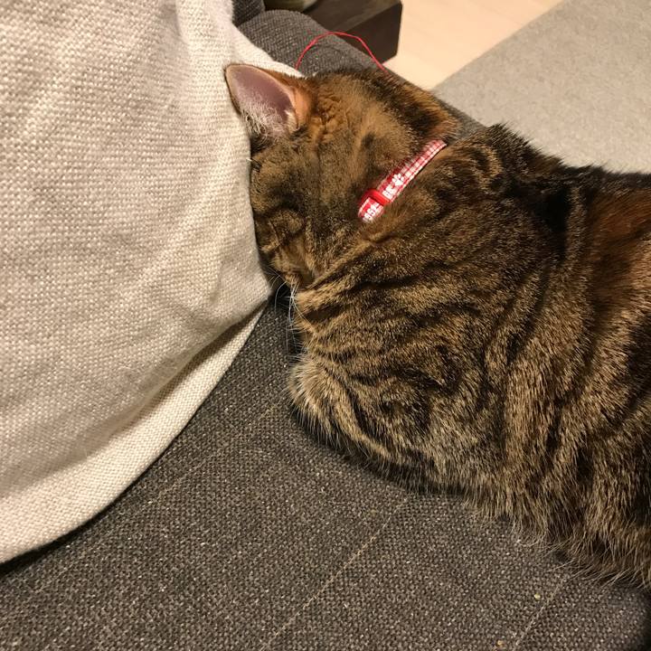 0e3a898a 771c 4d52 88fa d6ee89bef961 1514634431809