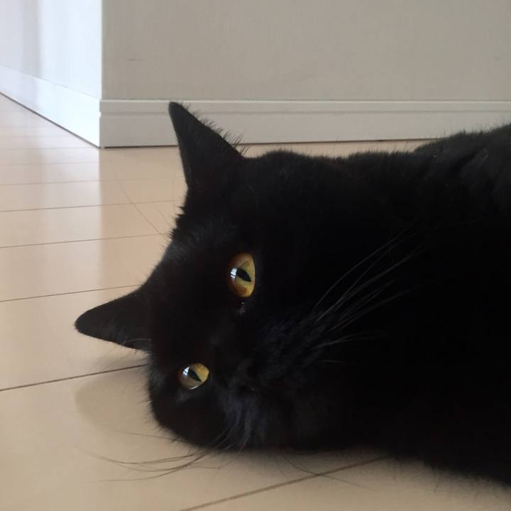 0e3abb34 e13f 4b50 824b fc633993971e 1564532127605