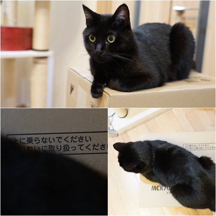 0e3abc31 c6c8 43ba ab29 c0044002f550 1562630186727