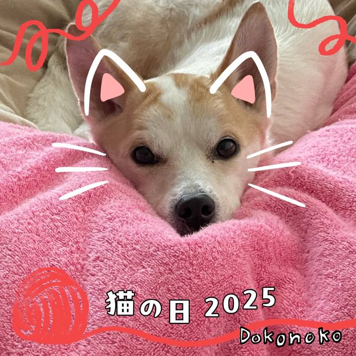 0e3ac260 9aea 42bb b9aa 9477fd0500d4 1740192405272