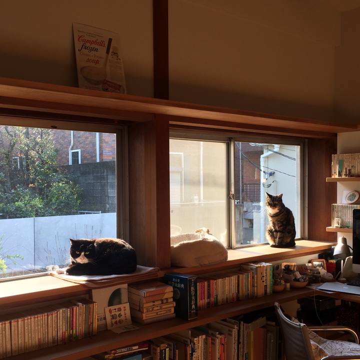 0e3ac7de 3474 4b91 b2e1 40c3b2f92780 1522104528269