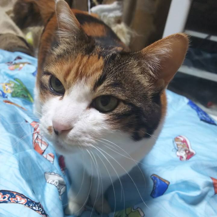 0e3af602 9e43 41ca 8c7c cd7b7048dbb9 1581543986759