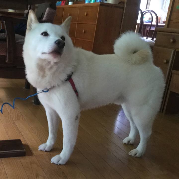 0e3b30c7 ad49 469e 9019 87ada905564a 1536394719374