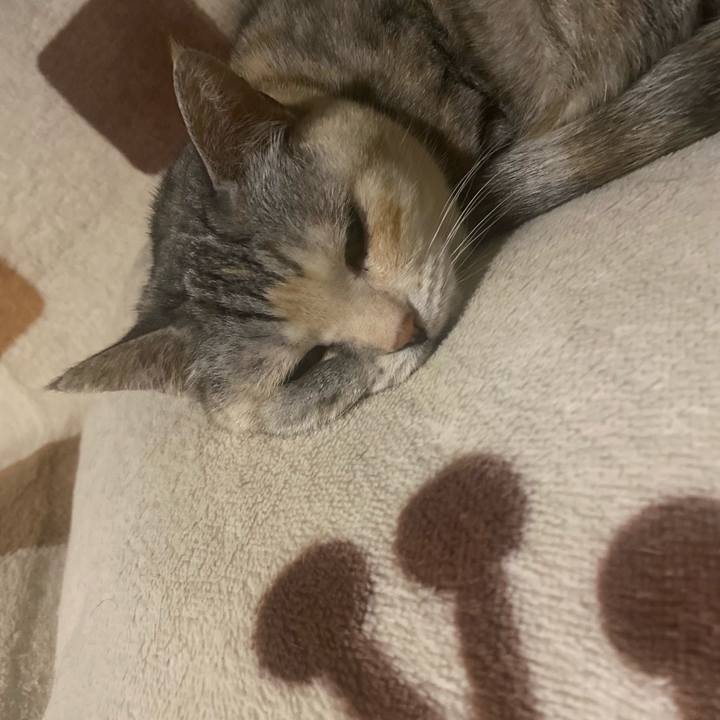 0e3b3b3b 7c58 4f56 b1fe 5ed619e84c18 1683938315707