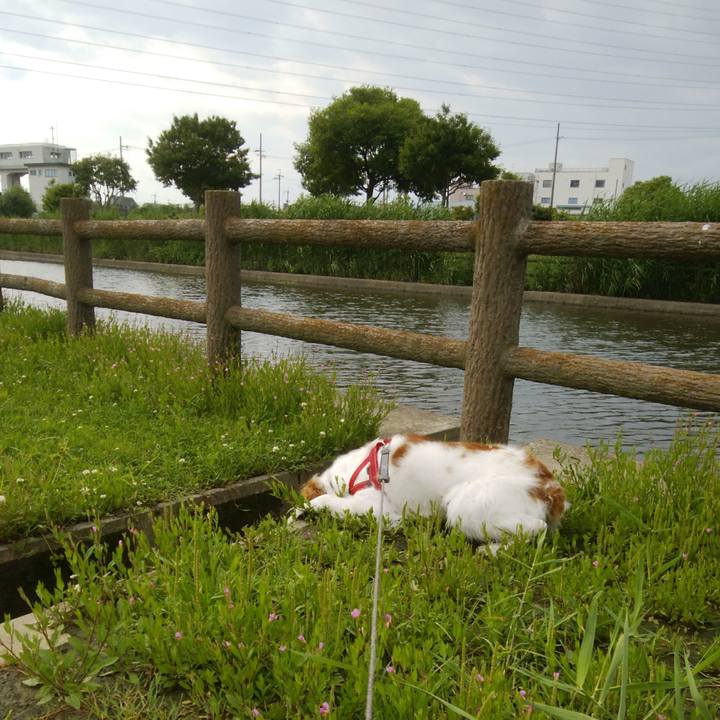 0e3b81c2 7637 40bf bd8f d839101be5c8 1528360869198