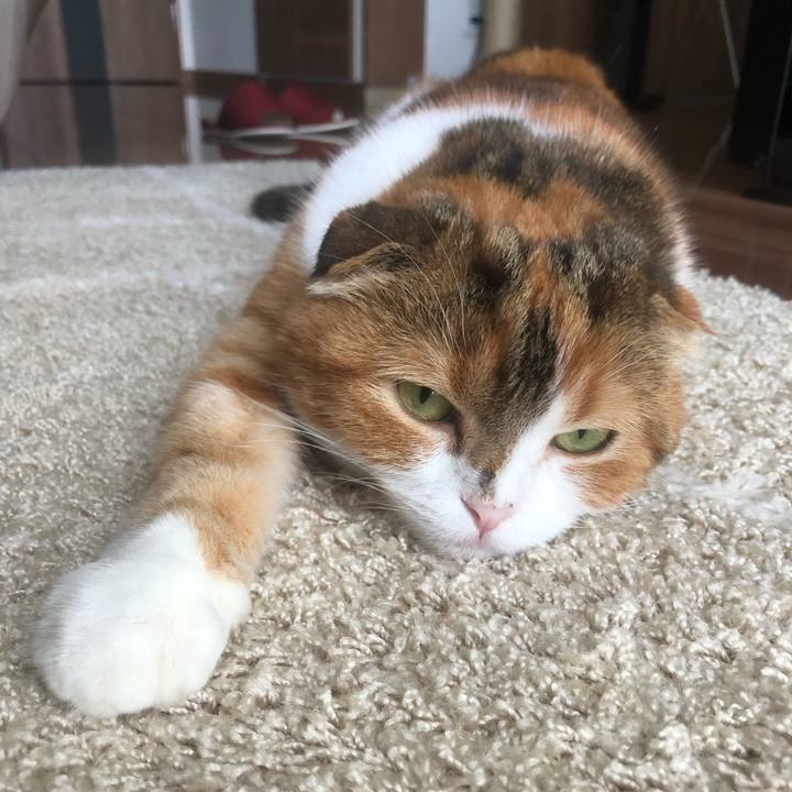 0e3bc6a4 d1c0 4f28 9daf 81520235dcfb 1599378953735