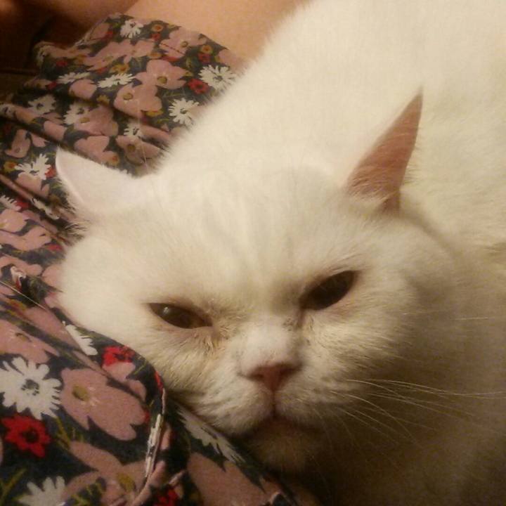 0e3c34f0 a98a 4691 a04e 2eba6639c313 1600006363301