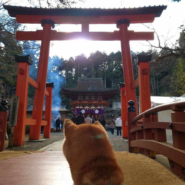 0e3c389b 64a2 4d1e bad9 6804665b666d 1767259568843