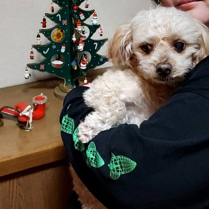 0e3c4f77 94c6 4cd2 85cf 603ed097c085 1671964569164