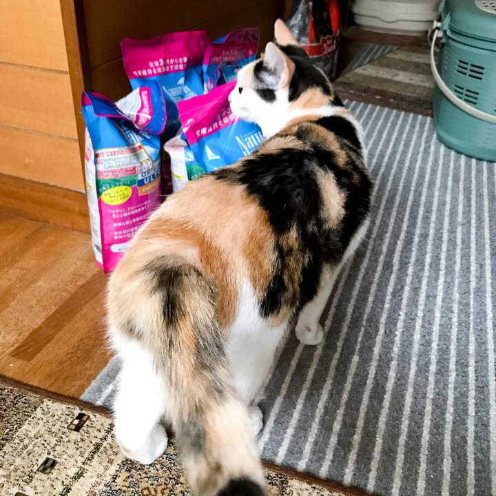 0e3c6f30 f66c 43e0 b2c2 bac482466e7f 1534774853172