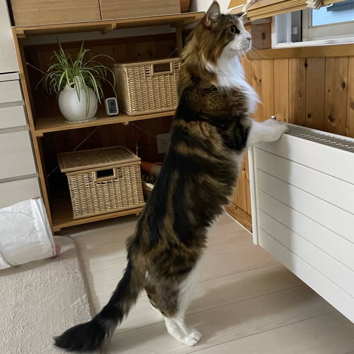 0e3c7ad0 235b 4d7a 9c0c 67a7e2f864ac 1729717156357