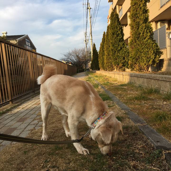 0e3c9c36 555b 4c1a ba3d cebba45379f1 1517181844535