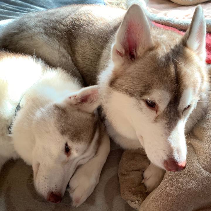 0e3cfd13 3c7f 413d 8186 65459142e7b2 1574591625094